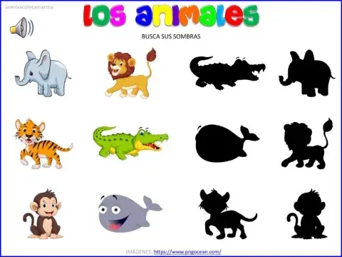 Animales salvajes: sombras
