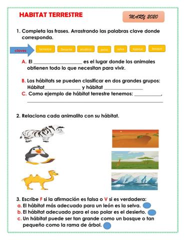 Animales hábitat terrestre 1°
