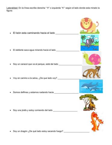 Lateralidad izquierda y derecha