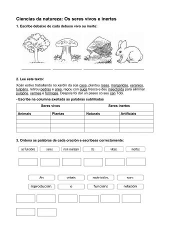 Seres vivos e seres inertes 2 b