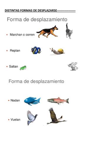El reino animal .parte 2. desplazamiento. ovíparos y vivíparos