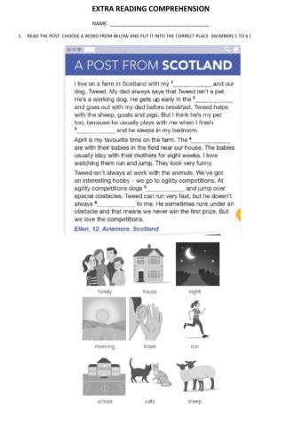 Reading comprehension