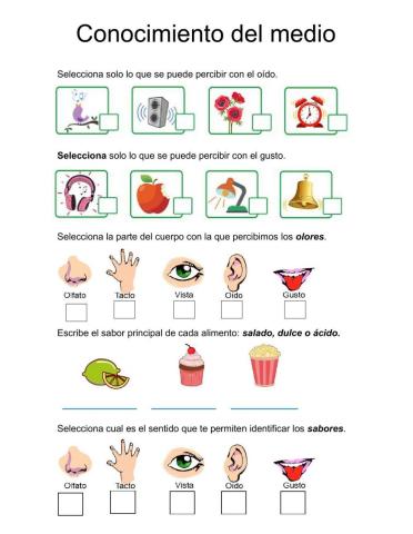 Examen de conocimiento del medio