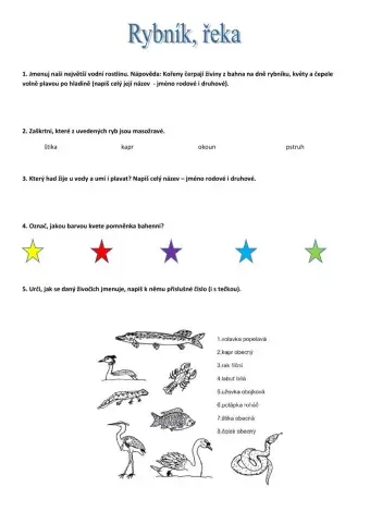 Ekosystém řek, rybník