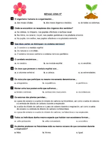 Ficha repaso ciencias naturais 5º