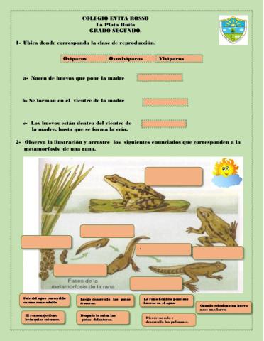 Reproducción animal