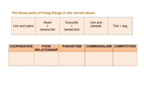 Relationships in ecosystems