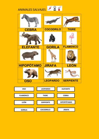 Animales salvajes (con modelo)