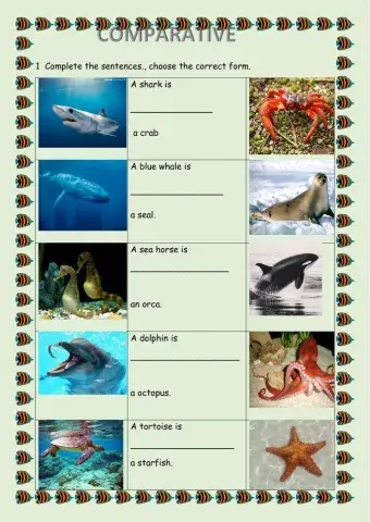 Comparative adjectives