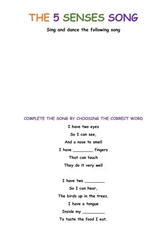The 5 senses song
