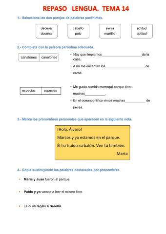 Lengua tema 14