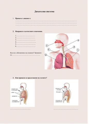 Дихателна система