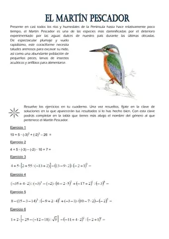 Martín Pescador-Operaciones con números enteros