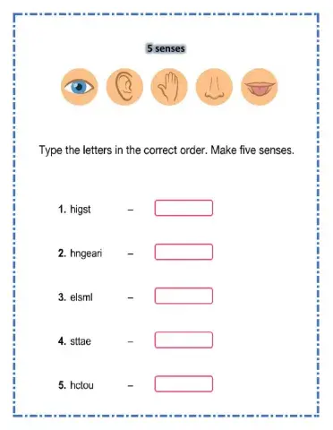 Unscrumble five senses