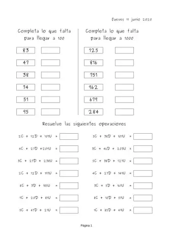 Amigos 100-1000, operaciones