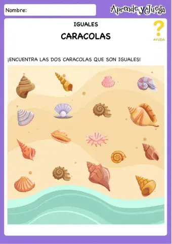 Caracolas iguales