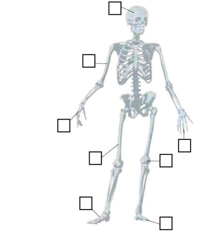 CEFR YEAR 2 : Unit The Robot (page 94)
