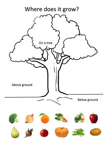 Where food grow