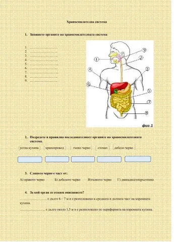 Храносмилателна система