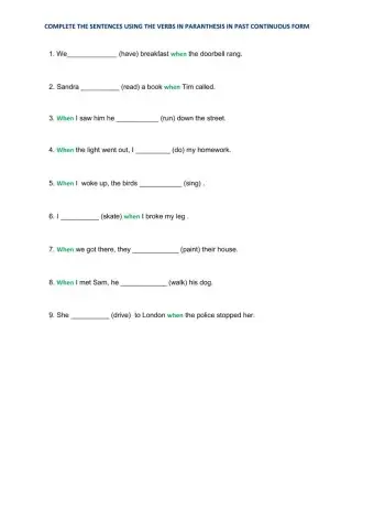 Complete the sentences using the verbs in paranthesis in past continuous form