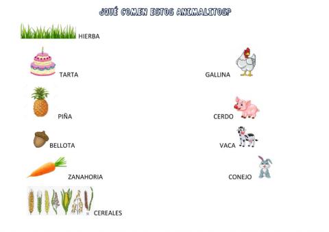 ¿Qué comen estos animales?