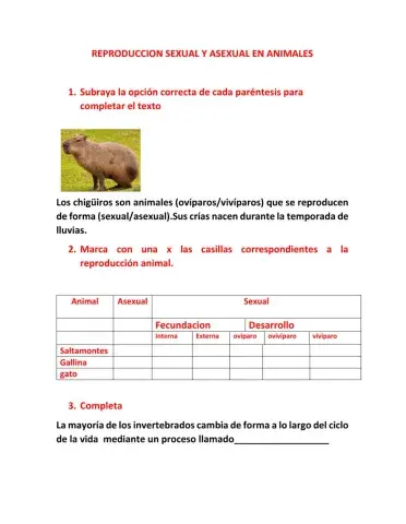 Reproduccion en animales