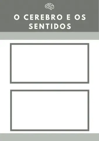 O cerebro e os sentidos