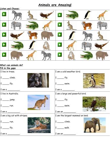Animals 2nd Grade
