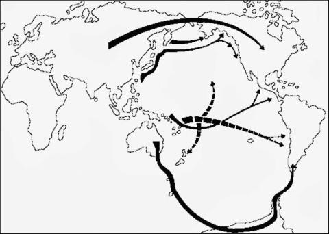 Poblamiento de America
