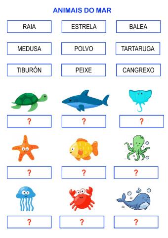 Animais do mar