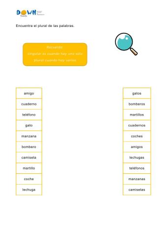 Singular-plural