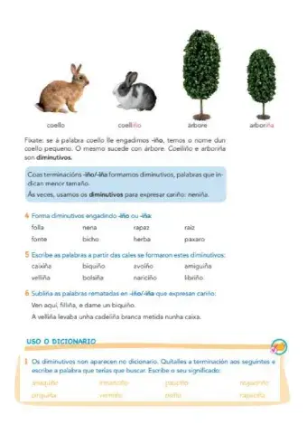 Palabras con iño - iña