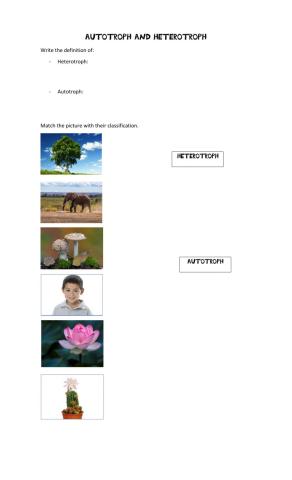 Heterotrophs and Autotrophs