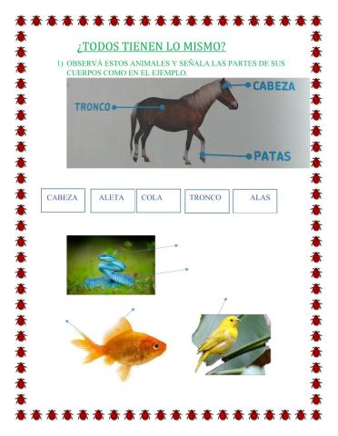 ¿Qué partes tienen?