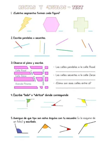 Rectas y ángulos-Test.