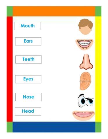 Partes de la cara en inglés