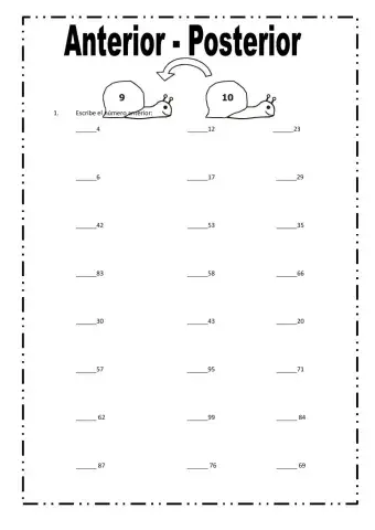 Anterior y posterior