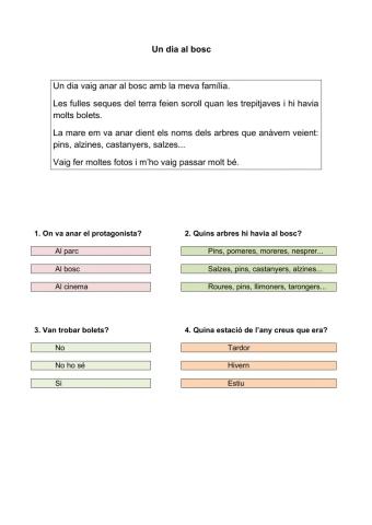 Un dia al bosc
