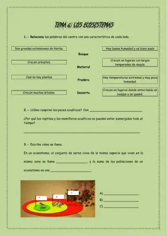 Animales y plantas en la naturaleza