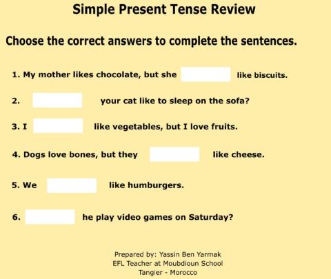 Do Does Don't Doesn't