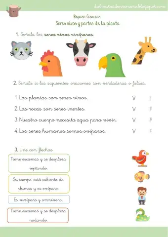 Repaso final ciencias