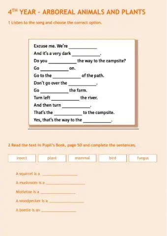 4th YEAR - ARBOREAL ANIMALS AND PLANTS