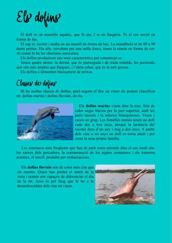 C.L. Els dofins