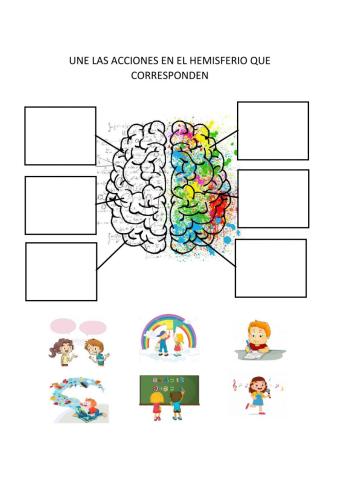 El cerebro