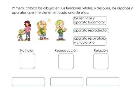 Las funciones vitales
