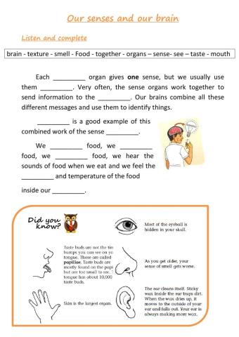 Our Senses and our Brain