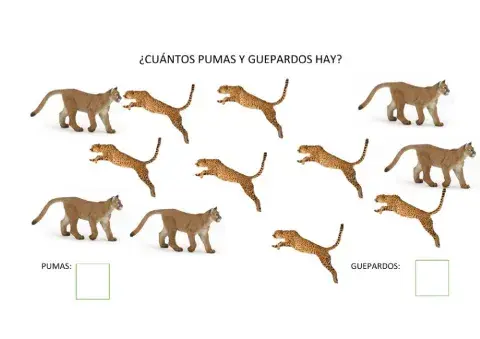 ¿cuantos pumas y guepardos?