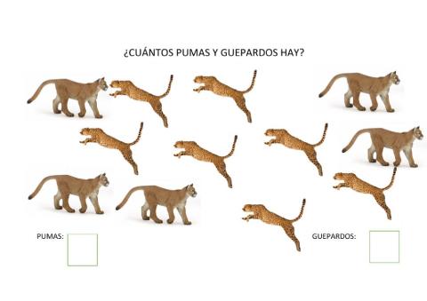 ¿cuantos pumas y guepardos?