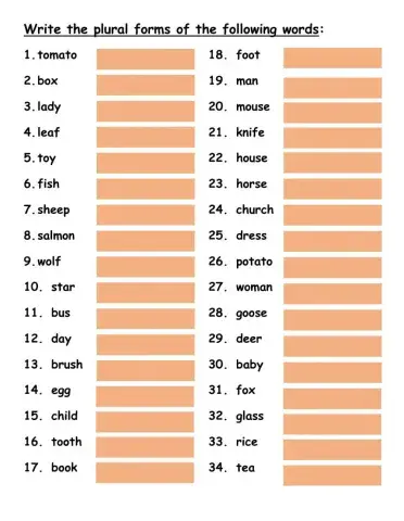 Singular to Plural nouns v1