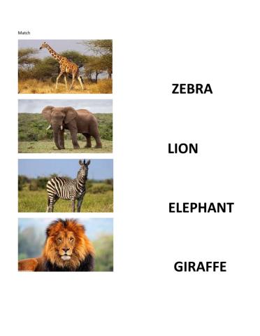name animals that live in the savanna